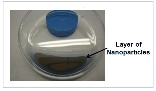 Gold nanorods and branched gold nanoparticles
